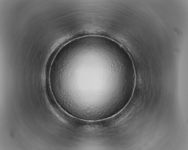 X0000110870630200906181203