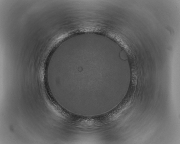 X0000110870631200906181203