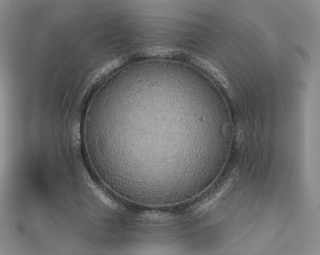 X0000110870633200906181203