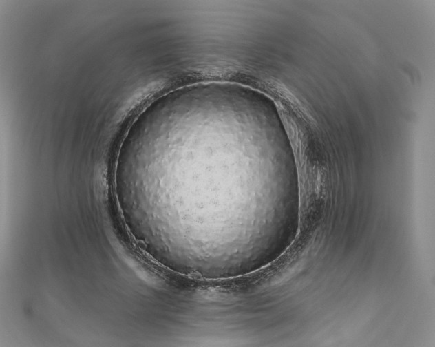 X0000110870634200906181203