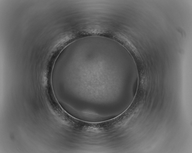 X0000110870635200906181203