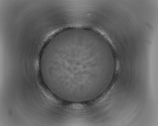 X0000110870636200906181203