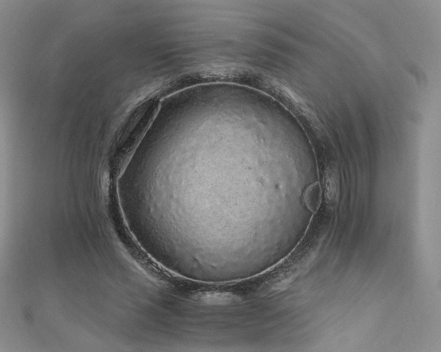 X0000110870637200906181203