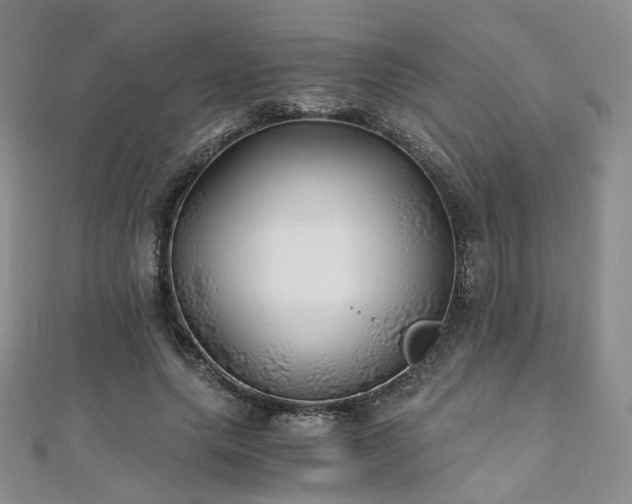 X0000110870639200906181203