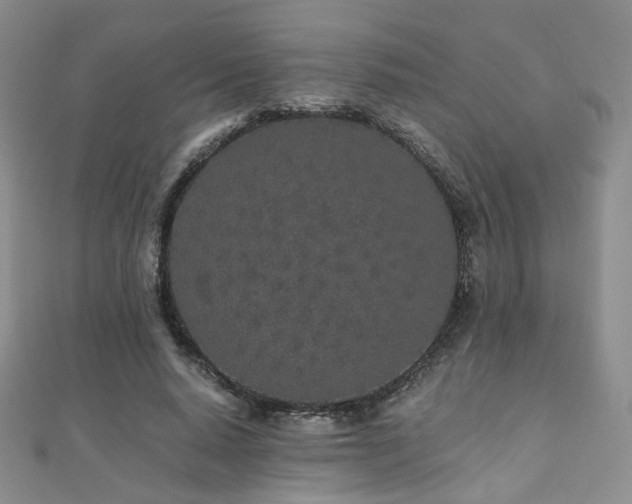 X0000110870640200906181203