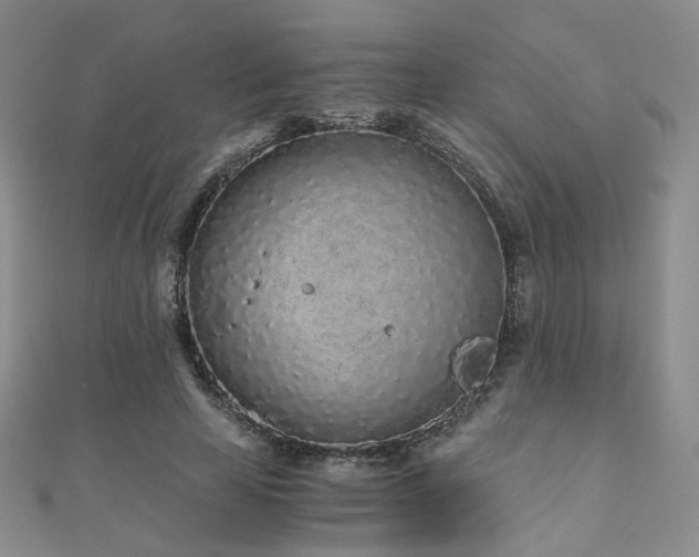 X0000110870641200906181203