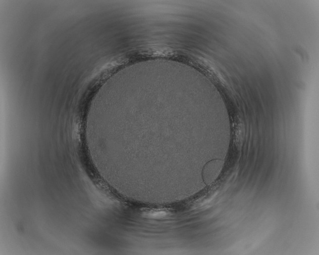 X0000110870643200906181203