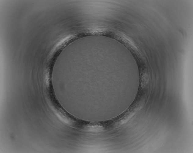 X0000110870644200906181203