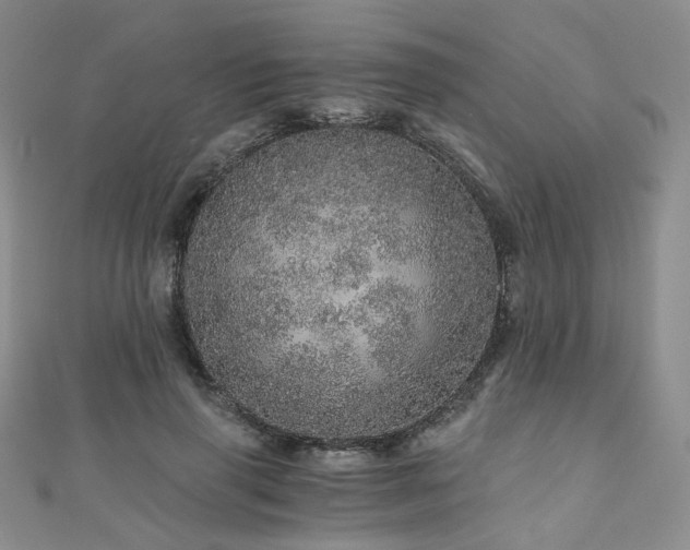 X0000110870645200906181203