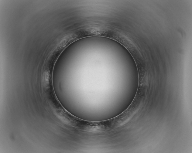 X0000110870646200906181203