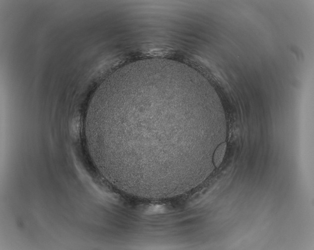 X0000110870647200906181203