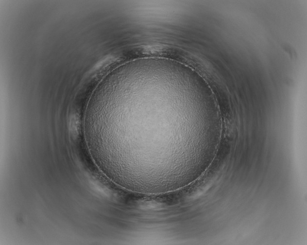 X0000110870648200906181203