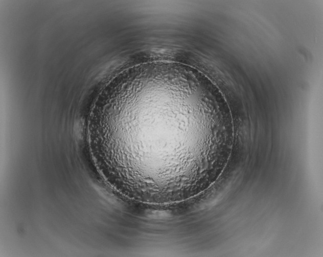 X0000110870649200906181203