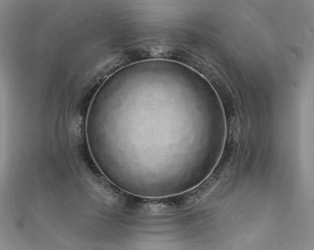 X0000110870650200906181203