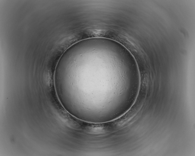 X0000110870651200906181203