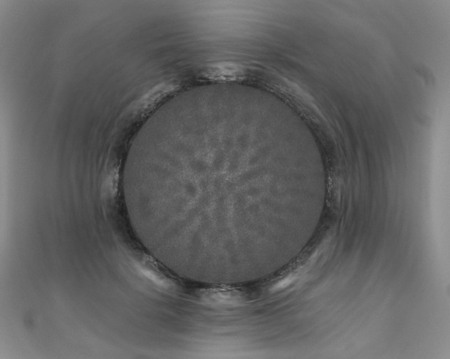 X0000110870652200906181203