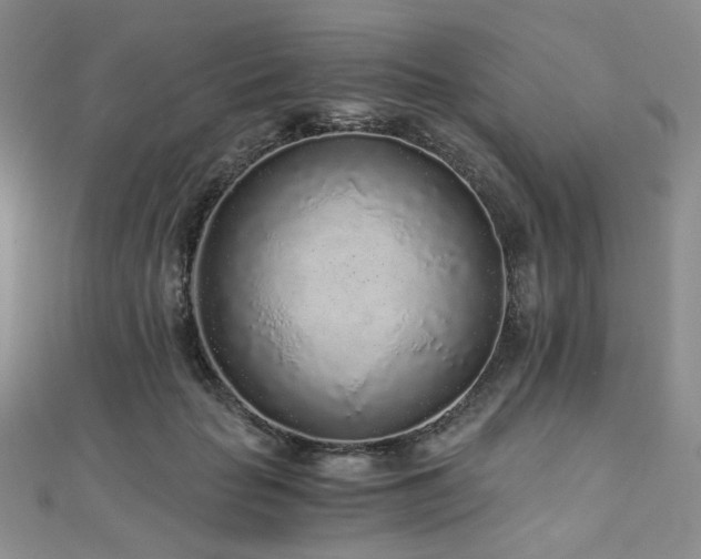 X0000110870653200906181203