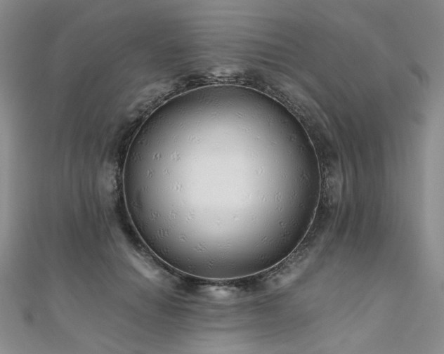 X0000110870654200906181203