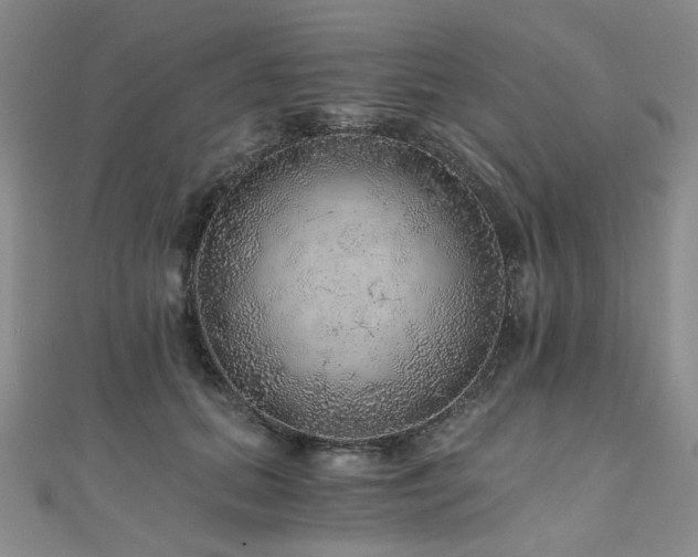 X0000110870655200906181203