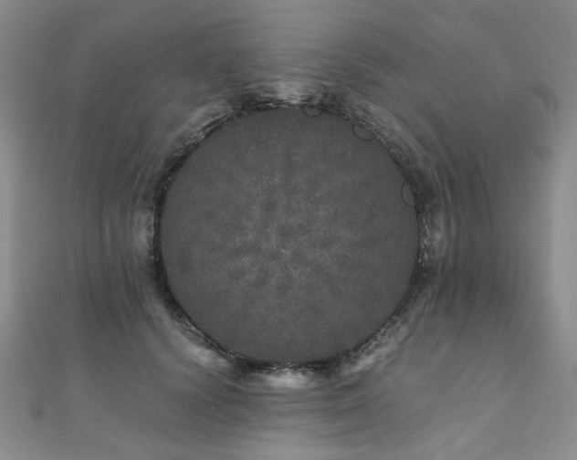 X0000110870656200906181203