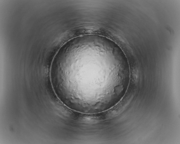 X0000110870657200906181203