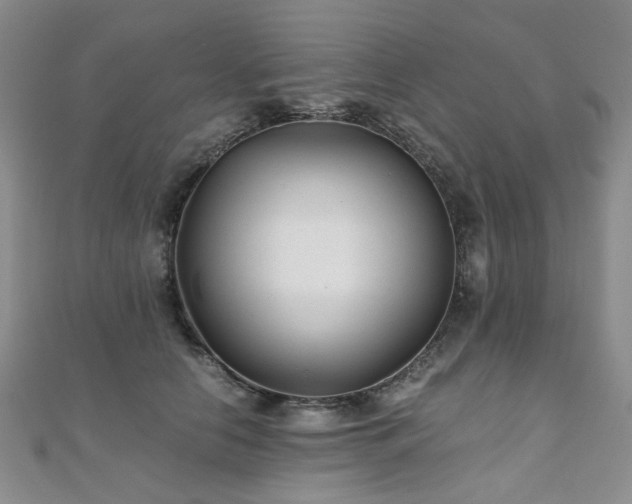 X0000110870658200906181203