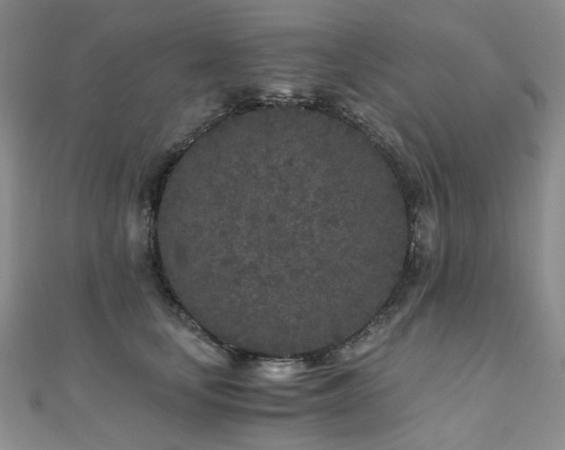 X0000110870659200906181203