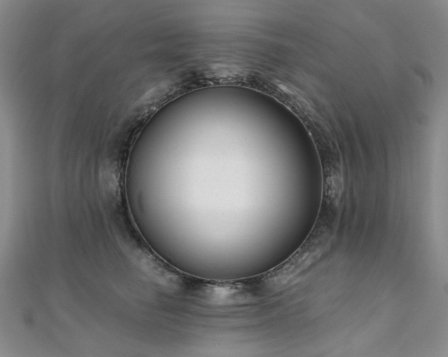 X0000110870662200906181203