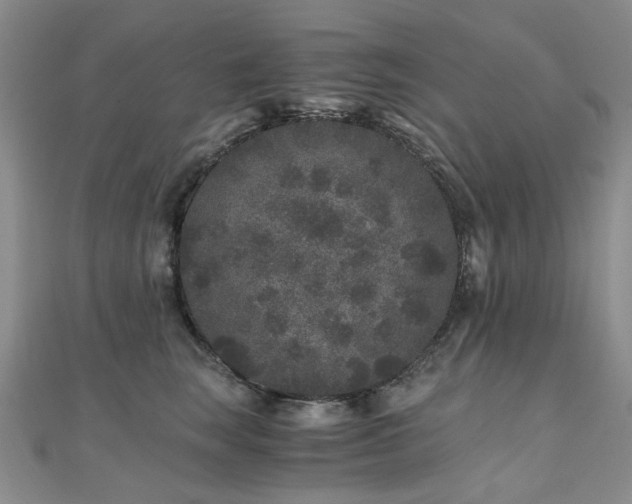 X0000110870663200906181203