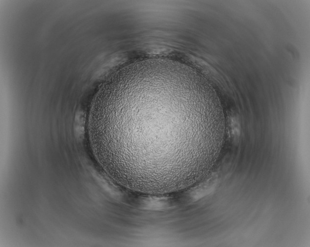 X0000110870664200906181203