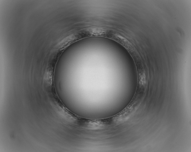 X0000110870666200906181203