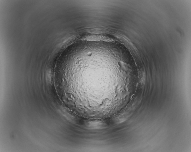 X0000110870669200906181203