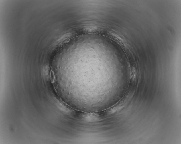 X0000110870670200906181203