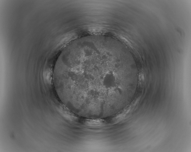 X0000110870671200906181203