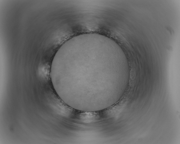 X0000110870672200906181203