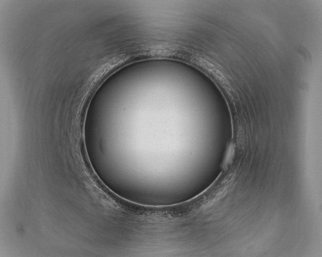 X0000110870673200906181203