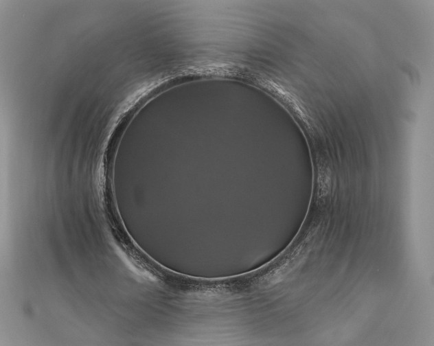 X0000110870674200906181203