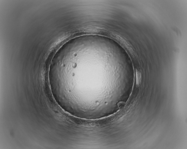 X0000110870675200906181203