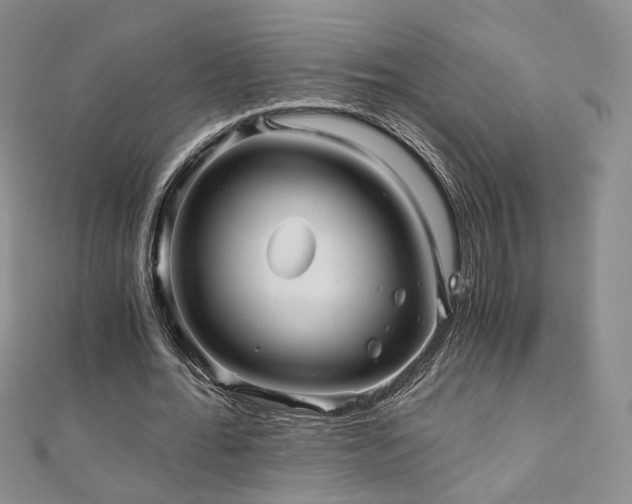 X0000110870676200906181203