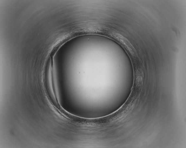 X0000110870677200906181203