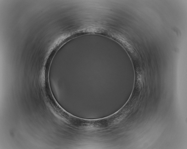 X0000110870678200906181203