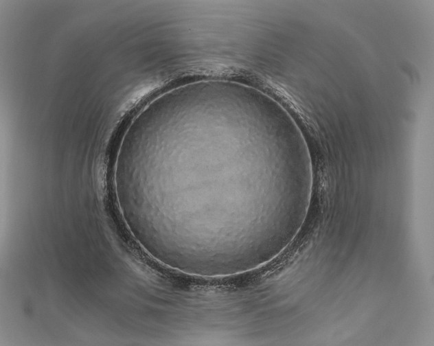 X0000110870679200906181203