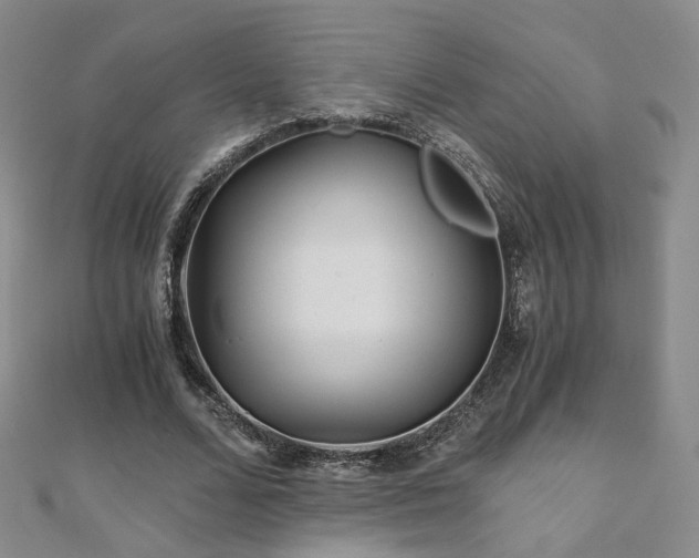 X0000110870680200906181203