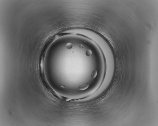 X0000110870681200906181203