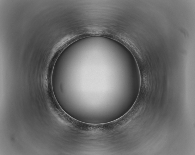 X0000110870682200906181203