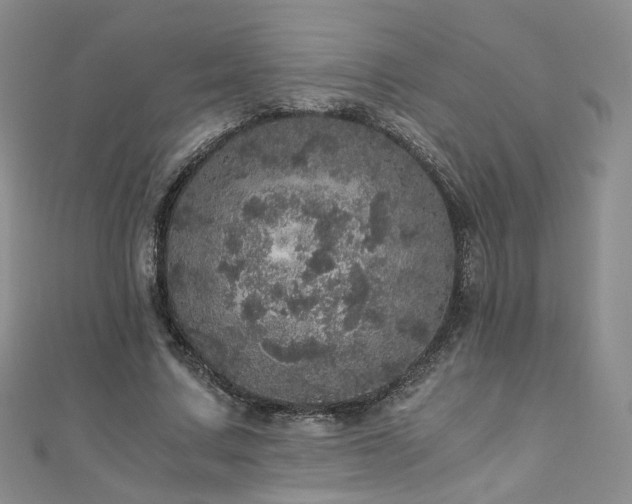 X0000110870683200906181203