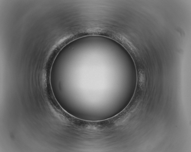 X0000110870684200906181203