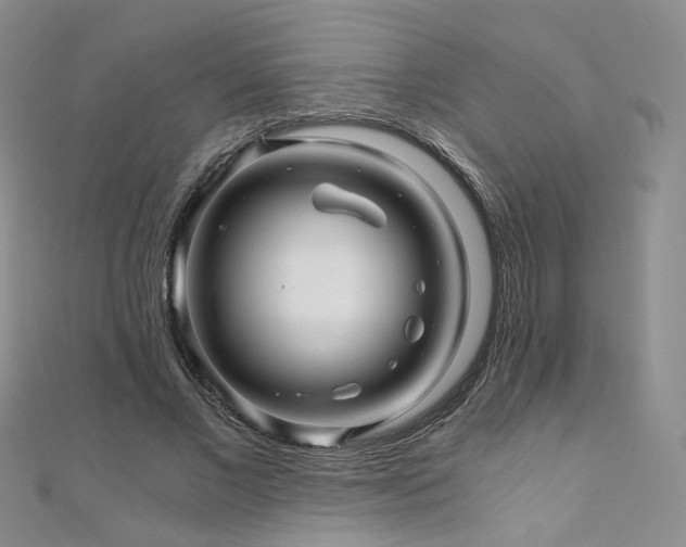 X0000110870685200906181203