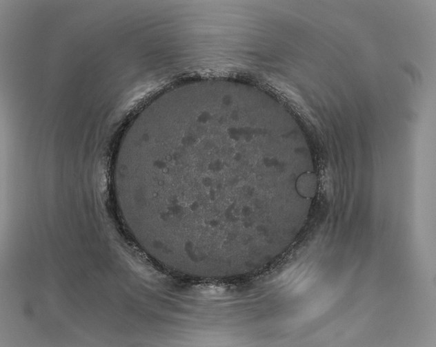 X0000110870687200906181203