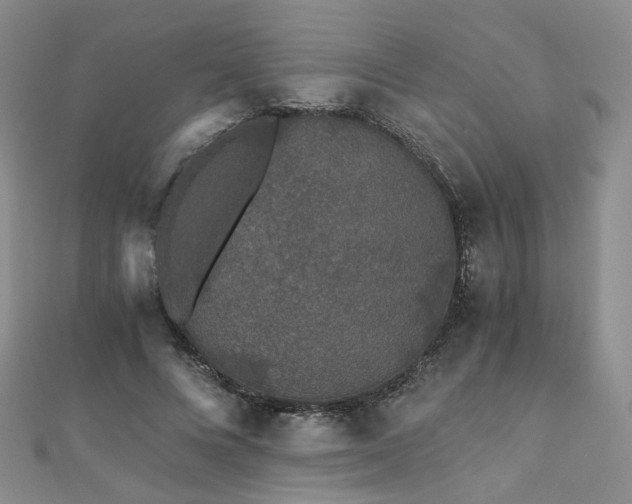 X0000110870688200906181203